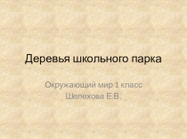 Презентация к уроку окружающего мира 1 класс на тему Что общего у разных растений?