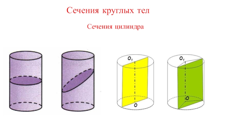 Осевое сечение рисунок. Сечение цилиндра. Круглые тела цилиндр. Поперечное сечение цилиндра. Круговое сечение цилиндра.