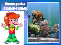 Презентация классного часа Какие рыбы самые-самые