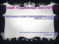 Презентация по окружающему миру на темуПолезные ископаемые приморского края (4 класс)
