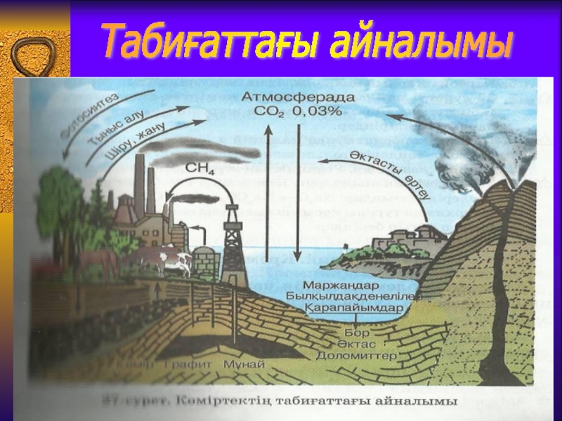 Табиғаттағы заттар айналымы 5 сынып жаратылыстану