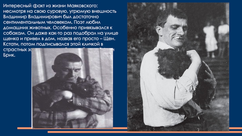 Интересные маяковского. Факты о Маяковском. Самые интересные факты о Маяковском. Интересные факты из жизни Маяковского. Маяковский факты из жизни.