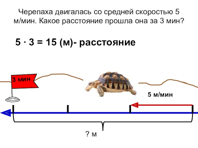 И все таки черепаха движется