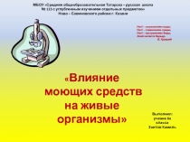 Презентация по экологии Влияние моющих средств на живые организмы (8 класс)