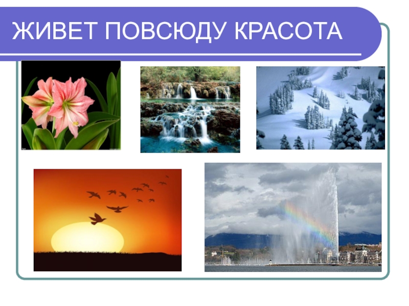 Живем везде. Живет повсюду красота. Живёт по всюду красота. Живет повсюду красота картинки. Красота живет повсюду рисунок.