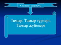 Тамыр. Тамыр түрлері. Тамыр жүйелері