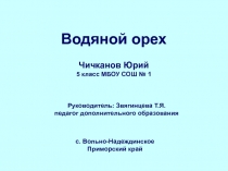 Презентация исследовательской работы ученика 5 класса Водяной орех