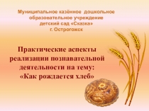 Презентация для конкурса Воспитатель года  Практические аспекты реализации познавательной деятельности на тему: Как рождается хлеб