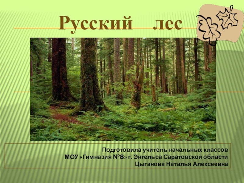 Презентация Классный час Русский лес ( 2 класс)