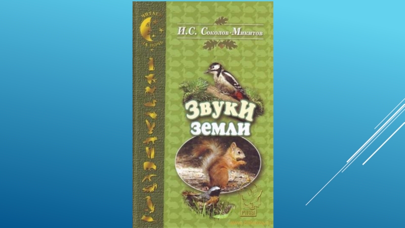 Звуки земли. Звуки земли Соколов Микитов. Соль земли сказка Соколов Микитов. И. Соколов – Микитов, «звуки земли», «год в лесу». Обложки книги Соколова Микитова звуки земли.