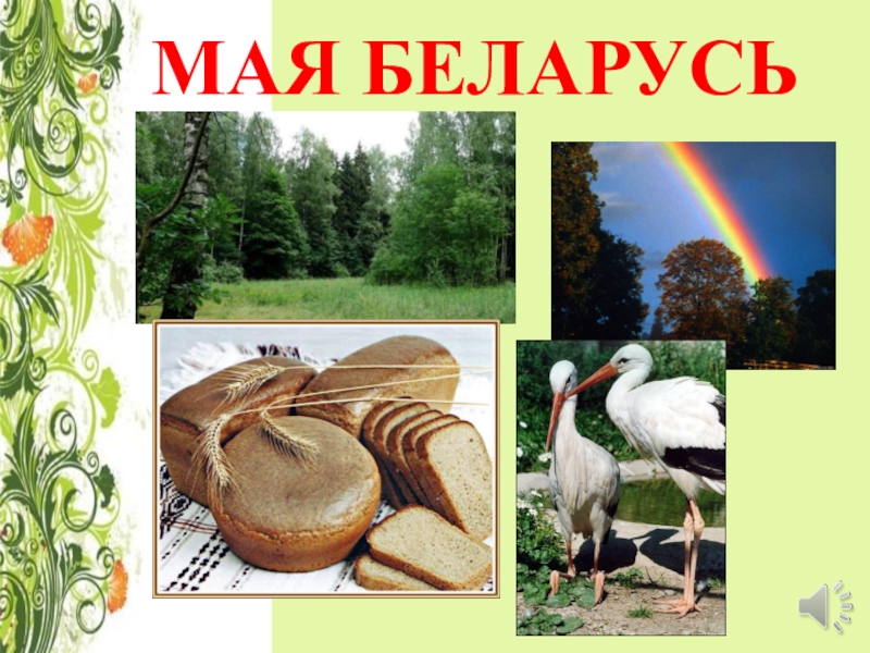 Картинка мая беларусь