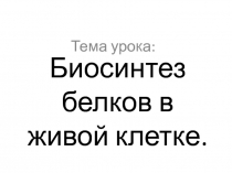 Презентация Биосинтез белка (9 класс)