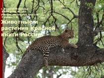 Животные и растения Красной книги