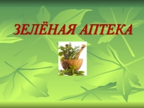 Презентация по ООМ Зелёная аптека
