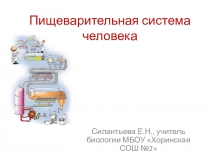 Презентация для подготовки к ОГЭ, ЕГЭ по биологии. Тема: Пищеварительная система
