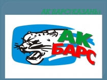Презентация по физической культуре на тему Хоккейный клуб Ак Барс
