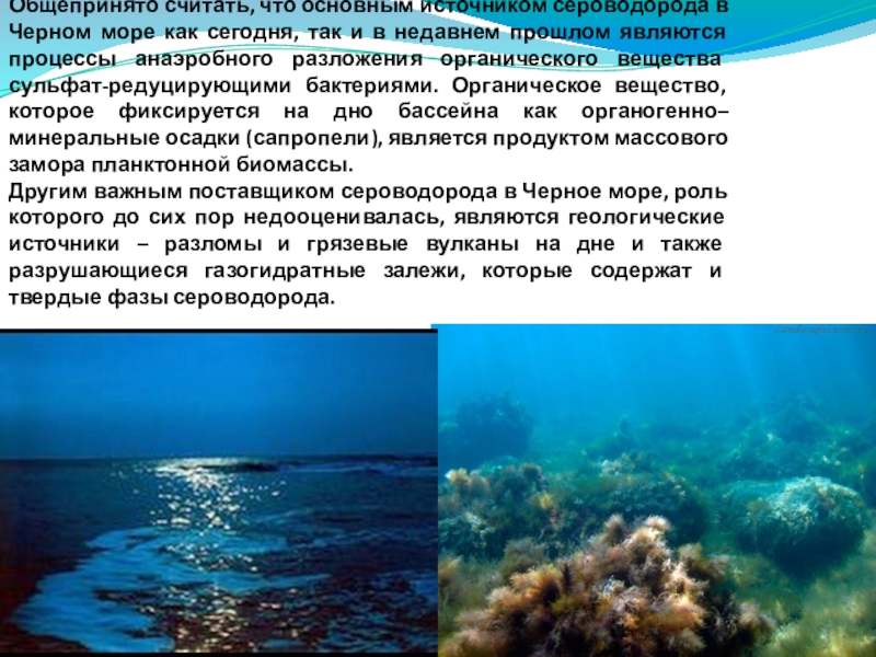 Сероводород в черном море