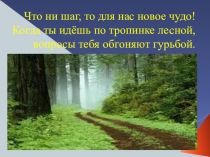Презентация по внеурочной деятельности Международный День птиц