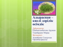 ЖОБА АДЫРАСПАН 9 класс