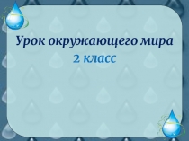 Презентация к уроку окружающего мира Водные богатства 2 класс