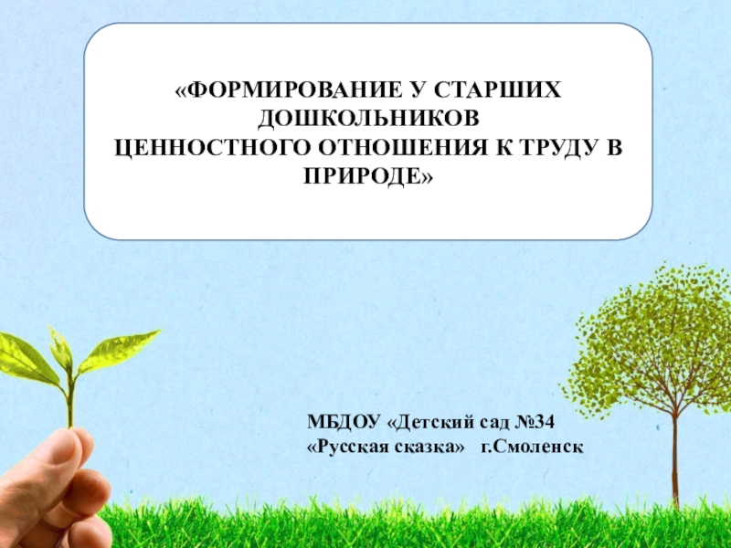 Формирование у детей дошкольного возраста ценностного отношения к родной природе проект