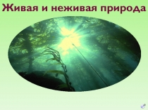 Презентация по окружающему миру на тему  Живая и неживая природа 2 класс