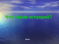 Презентация по окружающему миру на тему Что такое эстуарии?