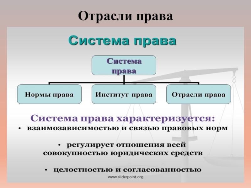 Семейное право системе отраслей. Отрасли правда. Отрасли пара.