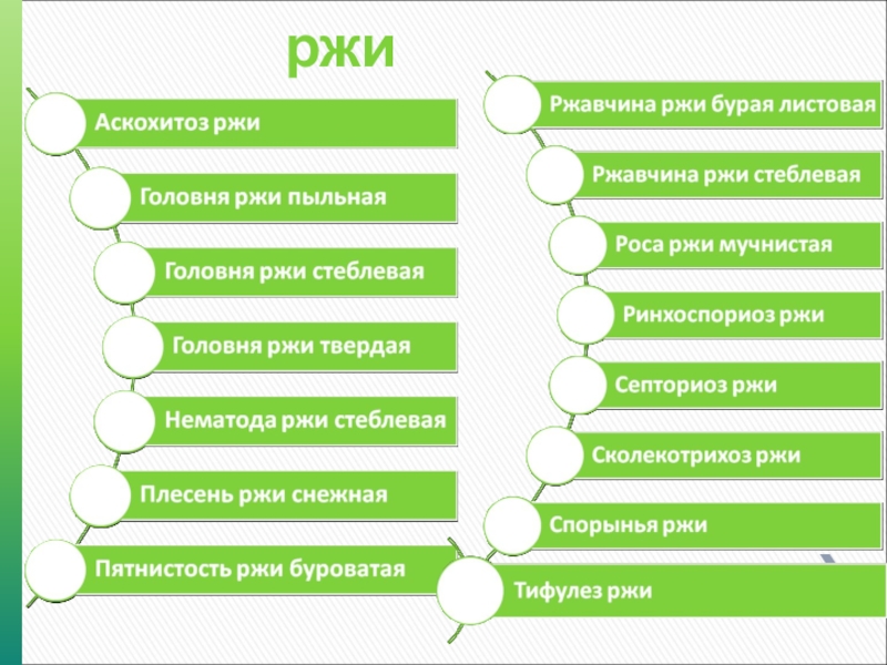 Болезни культур. Список литературы сельскохозяйственных культур.