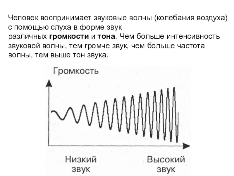 Частота звуковой волны воспринимаемая человеком. Звуковая волна. Акустические волны. Частота и громкость звука. Звуковые волны физика.