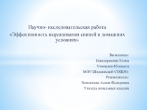 Презентация по окружающему миру на тему Исследовательская работа