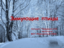 Презентация о птицах для детей дошкольных групп