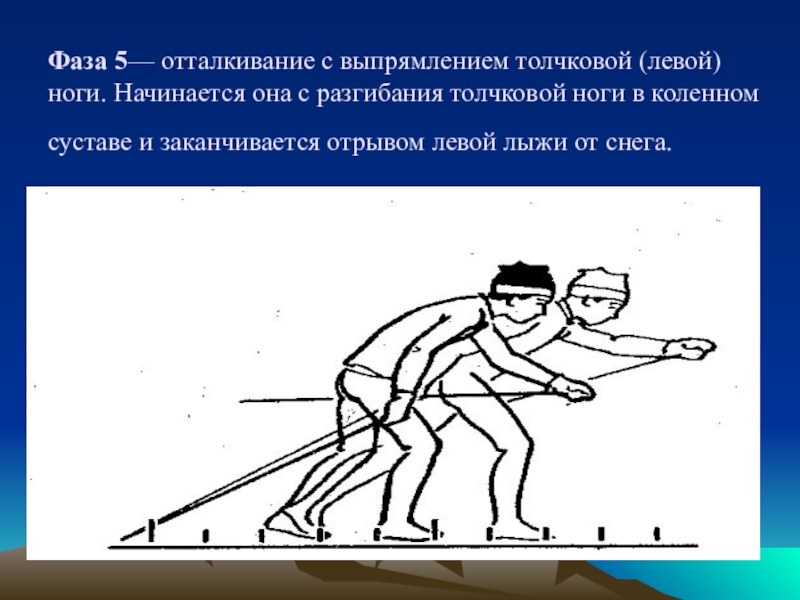 Исходный ход. Отталкивание с выпрямлением толчковой (левой) ноги.. 5-Я фаза - отталкивание с выпрямлением толчковой ноги. Фаза 5 - отталкивание с выпрямлением толчковой (левой) ноги.. Попеременный двухшажный ход отталкивание.