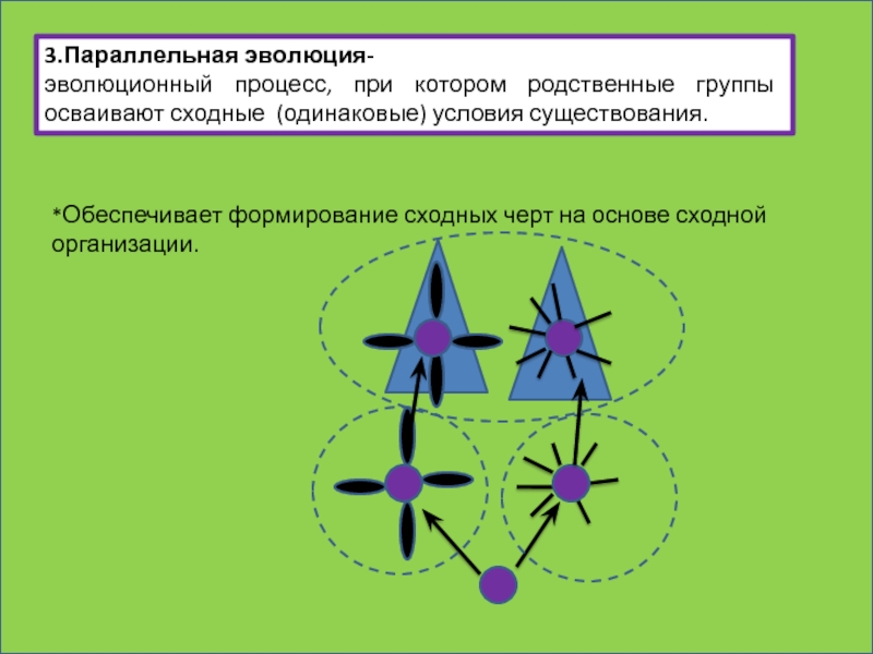 Параллельная эволюция