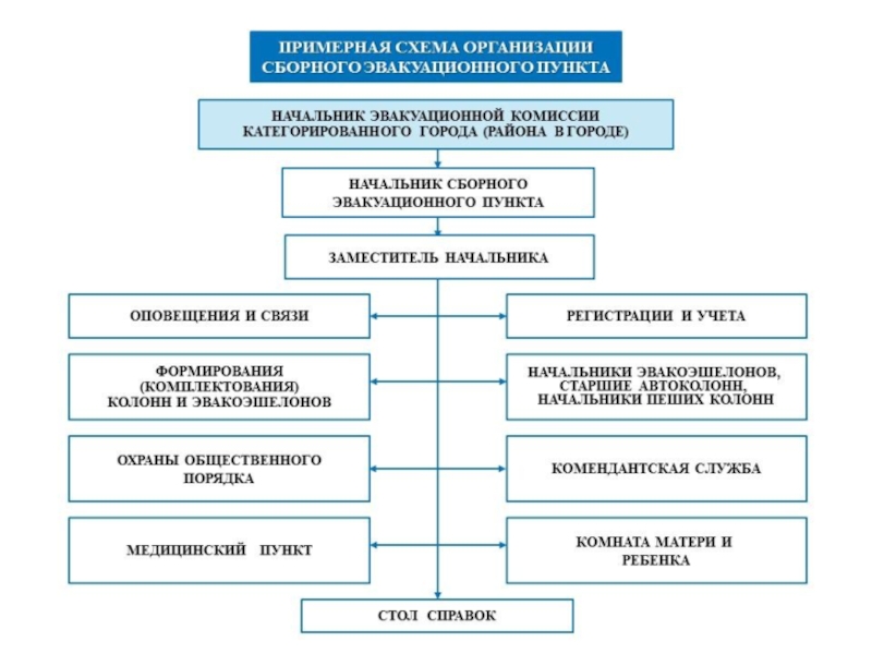 Структурная схема эвакуационной комиссии в организации