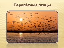 Презентация по окружающему миру Перелетные птицы