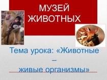 Презентация к уроку окружающего мира Животные - живые организмы (3 класс)