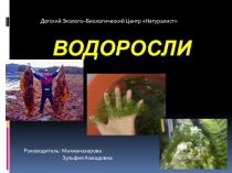 Презентация по химии по теме Растворы