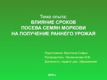 ПрезентацияВЛИЯНИЕ СРОКОВ ПОСЕВА СЕМЯН МОРКОВИ НА ПОЛУЧЕНИЕ РАННЕГО УРОЖАЯ