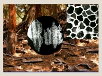 Презентация по биологии на тему Развитие знаний о клетке 5 класс