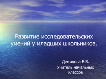 Презентация по внеурочной деятельности -исследовательские умения