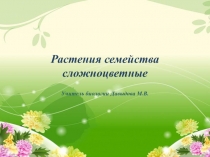 Растения семейства сложноцветные