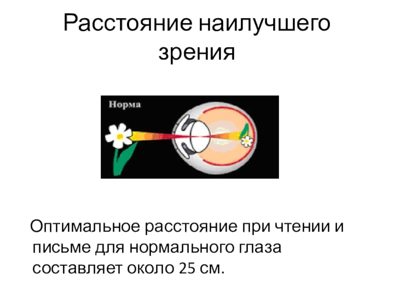 Физика зрения. Расстояние наилучшего зрения. Расстояние наилучшего зрени. Расстояние наилучшего зрения равно. Оптимальное расстояние для зрения.