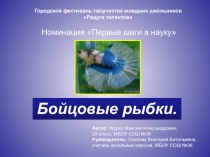 Презентация исследовательской работы ученика 2 класса Бойцовые рыбки