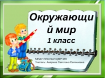 Презентация к уроку окружающего мира