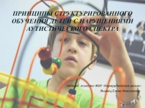 Принципы структурированного обучения детей с нарушениями аутистического спектра