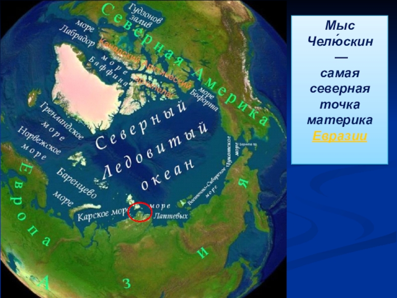 Презентация северная евразия