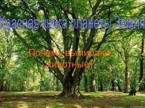 Презентация по биологии Животные Красной Книги