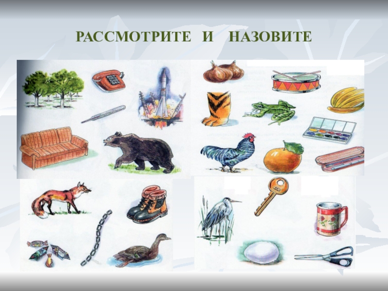 Рассмотри и назови. Рассмотри и назови продукты.