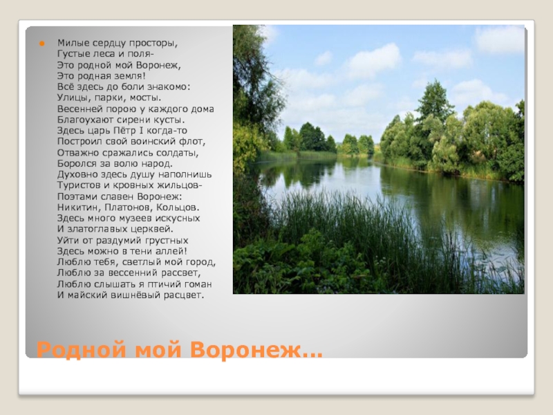 Г родной. Стихи о Воронеже. Проект мой родной край. Стих про Воронеж для детей. Стихотворение о Воронежском крае.